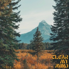 Clear My Mind (prod. Mega Beats)