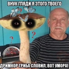 Го в дс