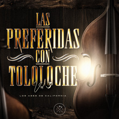 Entre Cerros Y Pinos