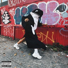 ORCAS!! ft. Hila the Earth