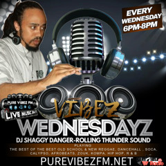 REBROADCAST 6_4_25 VIBEZ WEDNSDAYS - DJ SHAGGY DANGER - ROLLING THUNDER SOUND