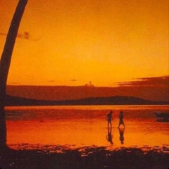 𝐹𝑖𝑗𝑖-𝑇𝑜𝑛𝑖𝑔ℎ𝑡 ( 𝑠𝑙𝑜𝑤𝑒𝑑 )