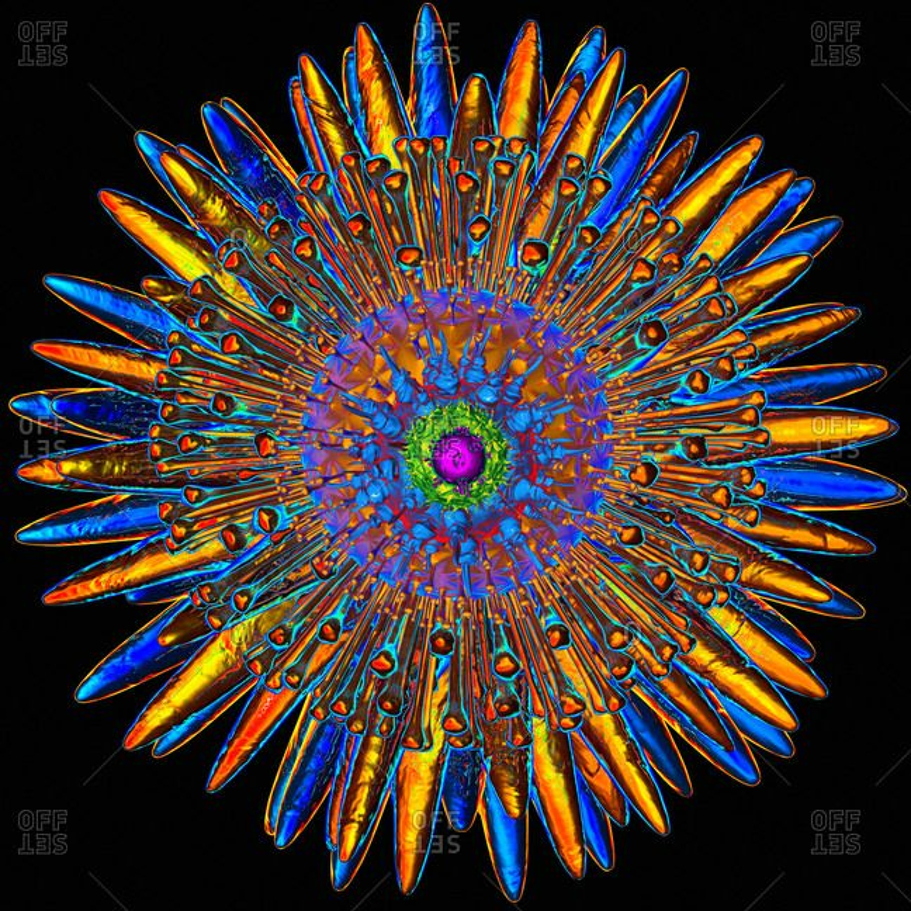 Psychedelic Timeshare