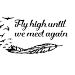 Flyin High