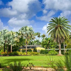 Best Things To Do In Miami Gardens Fl Tours Reviews