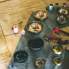 Psilocybin (Golden Teacher) ft Terence McKenna - Amazon Experience