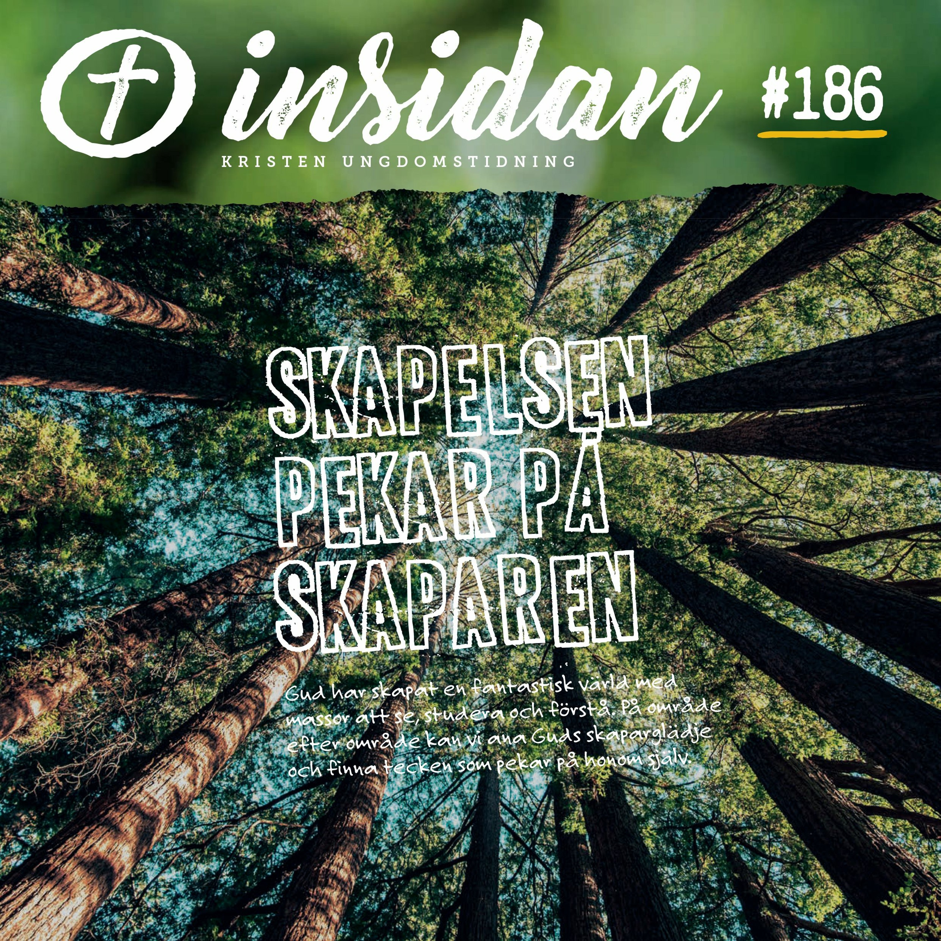 Insidan