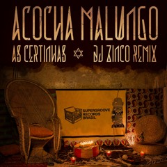 As Certinhas - Acocha Magungo - Dj Zinco Remix ( DOWNLOAD - link da descrição )