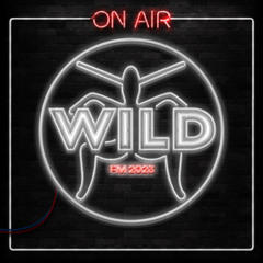 WILD FM MEGAMIX VOL 1