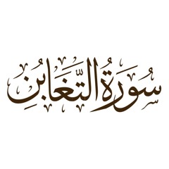 سورة التغابن - من صلاة التهجد لعام 1441 هجري - مصطفى عبدالناصر