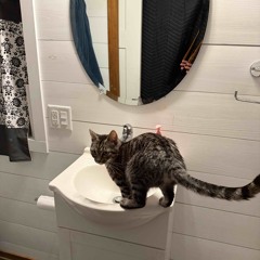 Shattered Glass Château - VERTIGO247 {Blaise Mix}