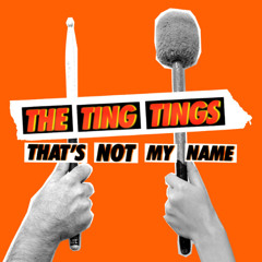 Thats Not My Name - The Ting Tings (Robbie Otis Remix)