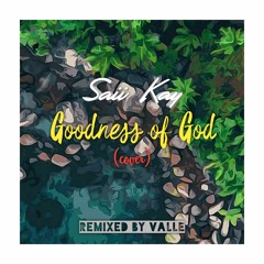 Saii Kay-Goodness of God(Reggae Remix).mp3