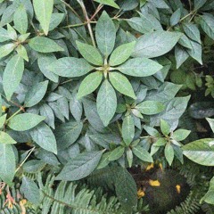 Run Away From Me//Darling, I don't know