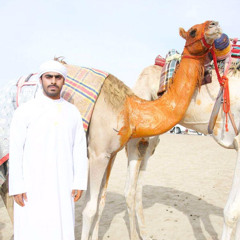‎⁨السبوق النادره
