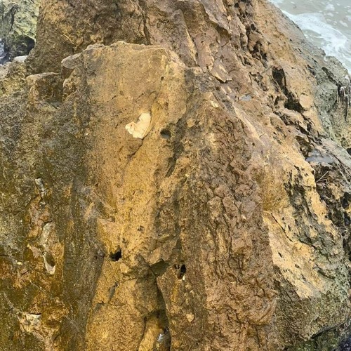 Sounds from Monday morning