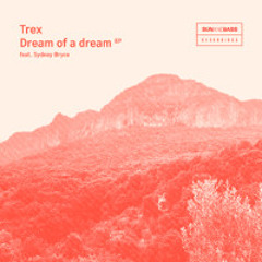 Dream of a Dream
