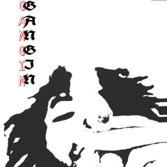 GANGIN(p. BapeBrazy)