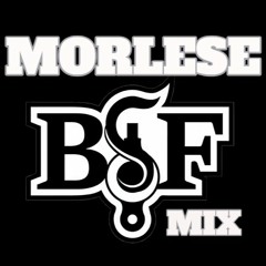 MORLESE-big bsf mix