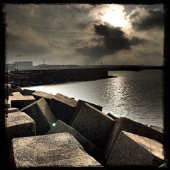 La_Mémoire_D_Une_Réalité_Conditionnée.mov