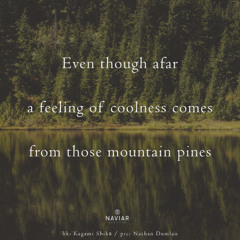 sun (naviarhaiku575)