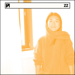 FLUX AETERNA 035: ZZ