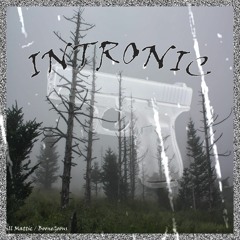 INTRONIC