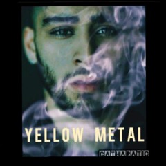 ZAYN - When I Was 21 (Yellow Metal)