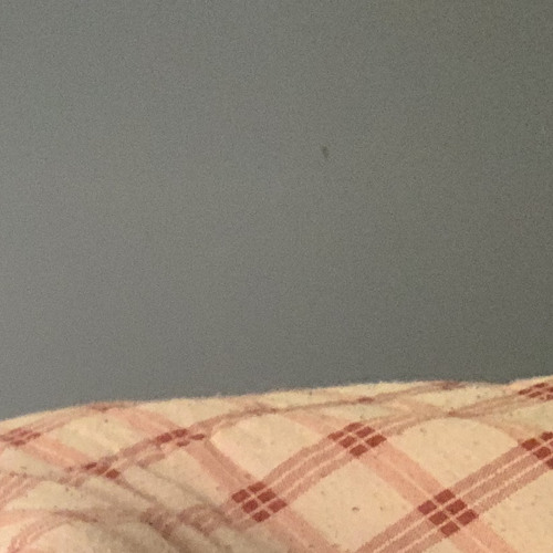 this doesn’t have a name