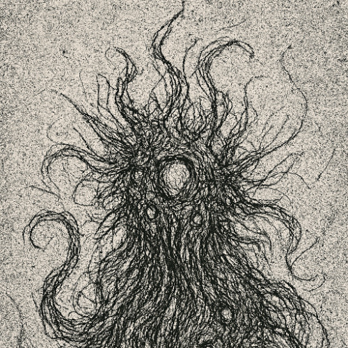 I could see through eyes that were not mine