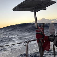 Christian Sauer Mini Globe Race Leg 2 Week 10