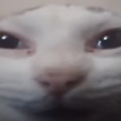 Heaven says (edit audio)