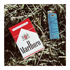 Marlboro Red's