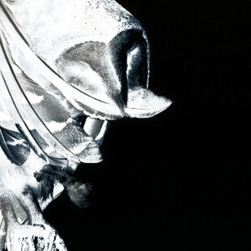 to da front        𓅩        @fushi @astra