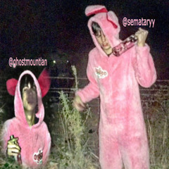 SEMATARY - BUNNY SUIT (W/ GHOST MOUNTAIN)