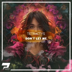 Dont Let Me (Original Mix)
