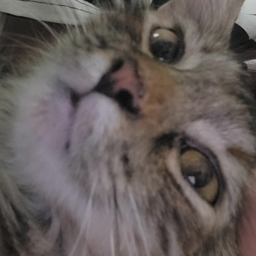 pretty boy Playlist <3