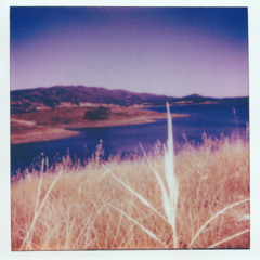 abrieflookintowhaticallselfisolation[demo]