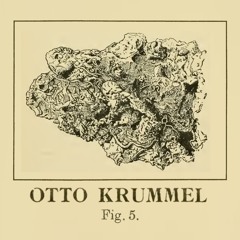 Otto Krummel - Figur 5