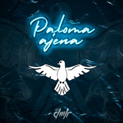 Dj Dmlr - Paloma Ajena