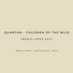 Martin Garrix x Steve Angello x Mako - Quantum x Children Of The Wild (Marco Lopez Edit)