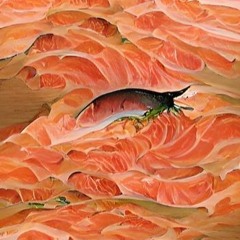 You Dont Need To Put Oil On Salmon