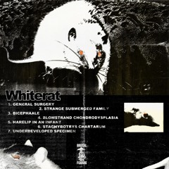 Whiterat - Strange Submerged Family EP [Brutal Forms]