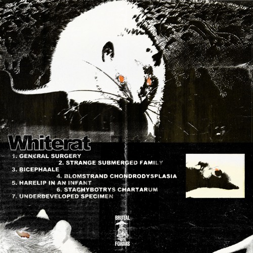Whiterat - Strange Submerged Family EP [Brutal Forms]