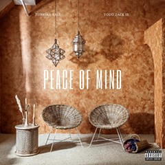 Peace Of Mind ft. Todd Zack Jr.