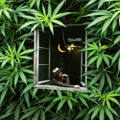 Thievery Corporation (Ft Natalia Clavier) - Claridad (Louisini Remix).mp3