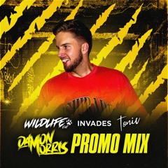 Wildlife Ent - Invades Tonic Bar Bendigo - Damon Morris Promo Mix