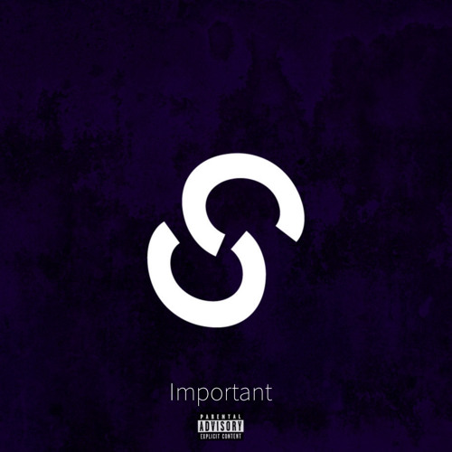 important (Prod. Bayden)