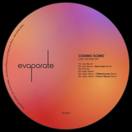 Premiere : Cosimo Scimo - Lost Secret (Dawn Gab Remix) (ZFD007)