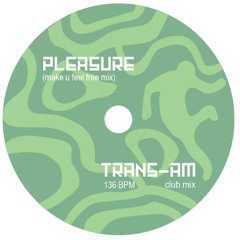 Pleasure (Make U Feel Free Mix)